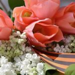 School of Science & Technology – City St George’s, University of London