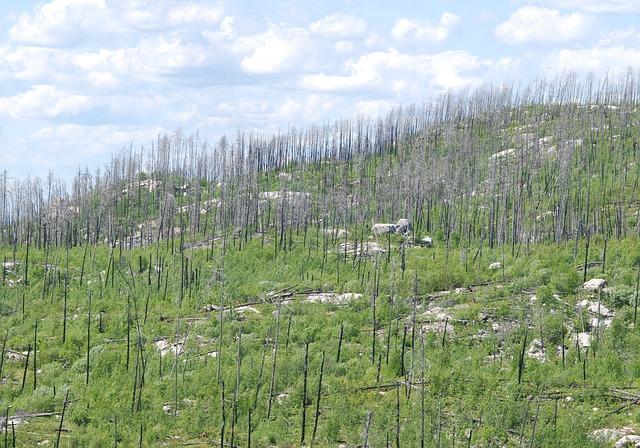 Alleged killer ‘Nasty’ left ‘traumatised’ by death of deaf woman, court told – London Evening Standard