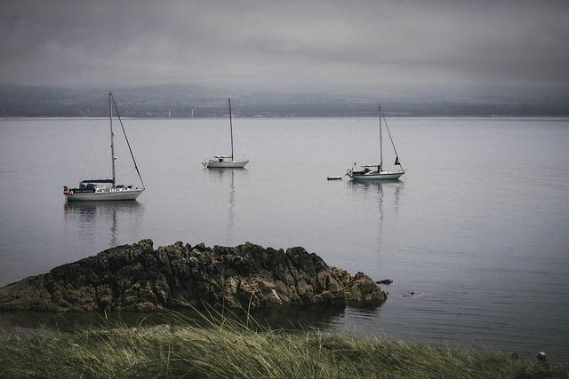 UK satisfaction with politics internationally low – but support for democracy has still risen – King’s College London