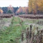 Everything good to do in London this November – Time Out Worldwide