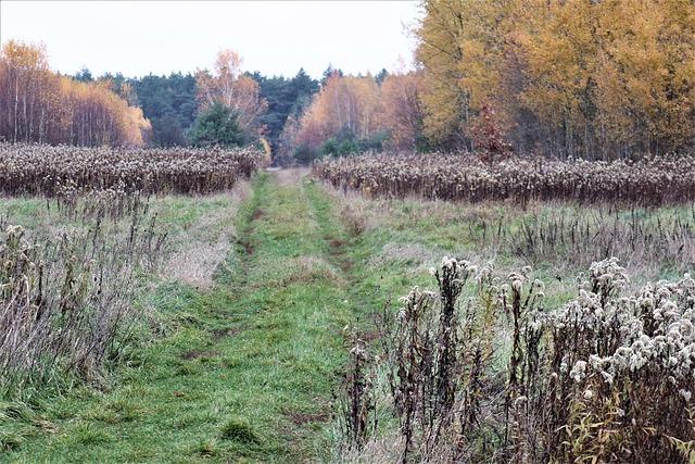 Everything good to do in London this November – Time Out Worldwide