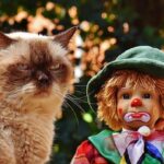 White British children are minority at one in four schools – The Telegraph