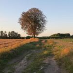 Ariana Grande and Jonathan Bailey are coming to the West End – Luxury London