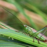 Former England and Wales cricket comms chief joins London and Manchester-based sports specialist – Prolific North