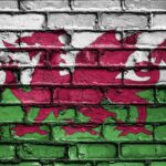 Wales backed by punters despite Six Nations struggles – London Business News