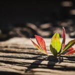 Take Back Power activists arrested by Met Police over ‘mass shoplifting plans’ – London Evening Standard