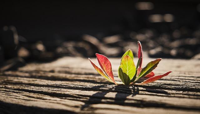 Take Back Power activists arrested by Met Police over ‘mass shoplifting plans’ – London Evening Standard