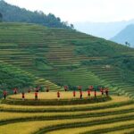 College of North West London tutors feature in Sky Sports and Department for Education ‘Be a Teacher’ campaign – FE News