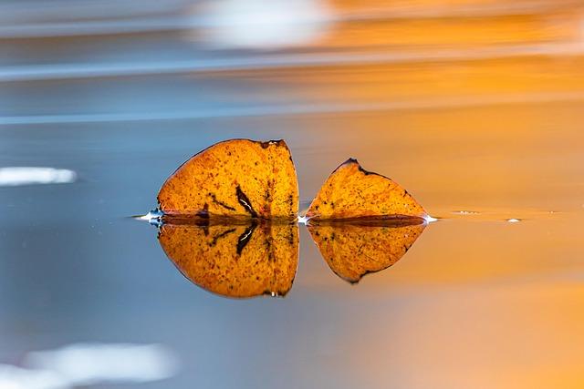 Late Soviet Britain: how British politics is mirroring the failings of Soviet socialism – The London School of Economics and Political Science