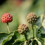 What’s On | Refiguring Urbanism: The Politics of City Change in London – Architectural Association