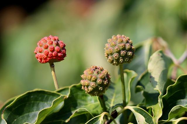 What’s On | Refiguring Urbanism: The Politics of City Change in London – Architectural Association