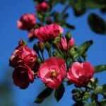 Rayner warns Starmer Labour is ‘running out of time’ – London Business News