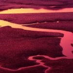 Gold near month lows as caution dominates ahead of Fed – London Business News