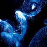 Gerry Adams in court: Different narratives of his legacy played out in London – a man of war or an architect of peace? – Belfast Telegraph