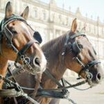 Premier League GW7 predictions: Man United head coach Ruben Amorim to earn reprieve, Chelsea to hold the champions Liverpool in London – Sports Mole