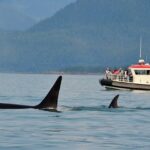 South Londoners jailed so far this month including Wetherspoons killer – Your Local Guardian