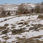 Education grants up to £5,900 relaunched for Tower Hamlets residents – East London Advertiser