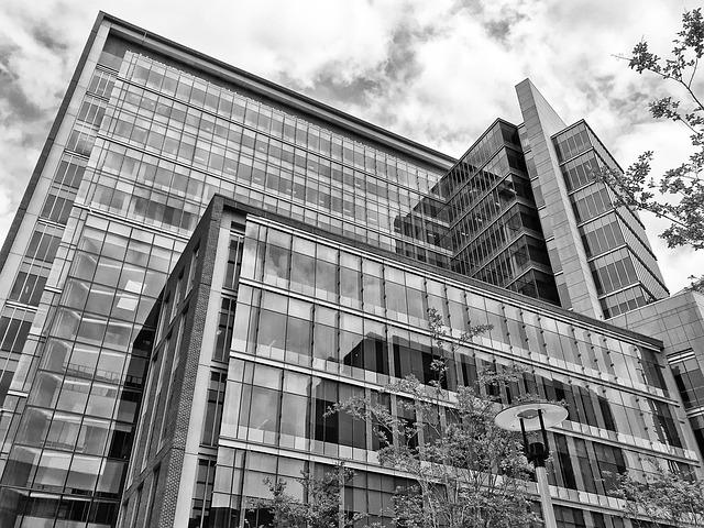 London medical school benefited from colonial exploitation, report finds – The Guardian