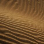 Food prices could surge to over 8% amid Iran war – London Business News