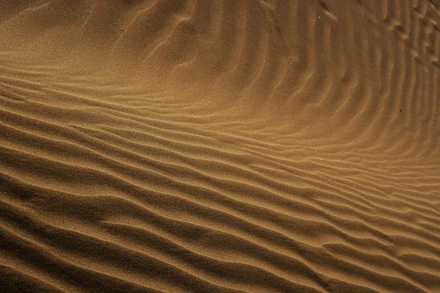 Food prices could surge to over 8% amid Iran war – London Business News