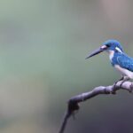 Kingfisher profits surge as B&Q and Screwfix drive growth – London Business News