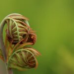 Iran issues defiant challenge as Pentagon to deploy 3,000 troops – London Business News