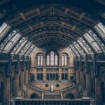 International Tourists Could Soon Have to Pay to Visit London’s Greatest Museums – Time Out Worldwide