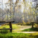 Olly Murs releases ‘Run This Town’ and announces London show – Entertainment Focus