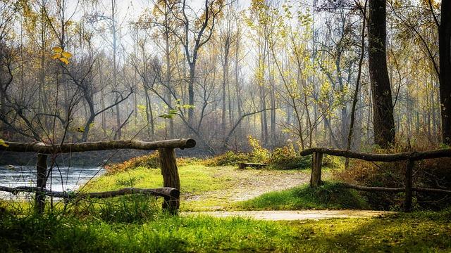 Olly Murs releases ‘Run This Town’ and announces London show – Entertainment Focus