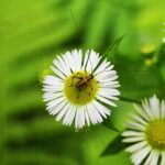 Tony Travers: How Margaret Thatcher paved the way for Sadiq Khan – On London