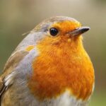 UK slams Russia over diplomat expulsion amid ‘baseless’ espionage claims – London Business News