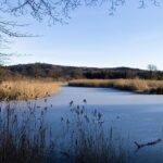 Prominent sports administrator Reedie dies – worldathletics.org