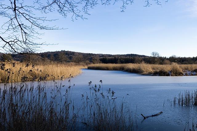 Prominent sports administrator Reedie dies – worldathletics.org