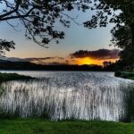 Middlesex could return to county map 62 years after abolition – The Telegraph