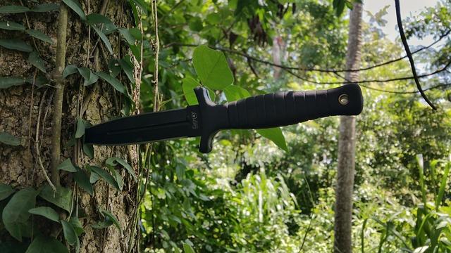 Finbar Sullivan: Two arrested over fatal Primrose Hill stabbing – BBC