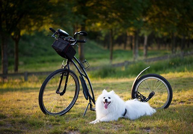 Arsenal hit with Gabriel adductor injury ahead of north London derby – TNT Sports