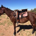 Alex Morgan’s Togethxr and London City Lionesses announce jersey partnership – The New York Times