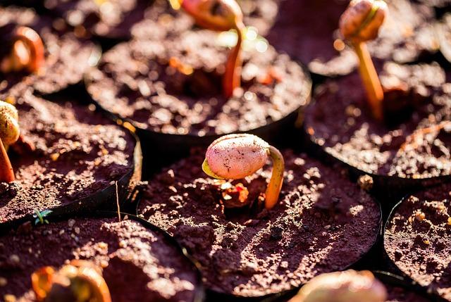 New reports shed light on differences in higher education fees and funding systems across the UK – hepi.ac.uk