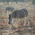 Farage offers ‘forgotten’ voters in Romford a referendum on leaving Khan’s London – The Telegraph