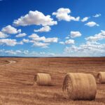 Hays slashes workforce as global hiring slump deepens – London Business News