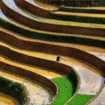 Latest north-west London arson attack probed as antisemitic hate crime – ITVX