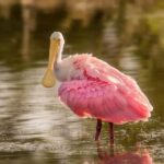 London council’s unsuccessful fight against LTNs to rack up £278,000 legal bill – London Evening Standard