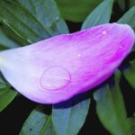 The best May half-term things to do in London – Time Out Worldwide