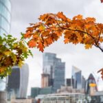 Microsoft’s new London AI office to boost capital’s tech hub – The Times