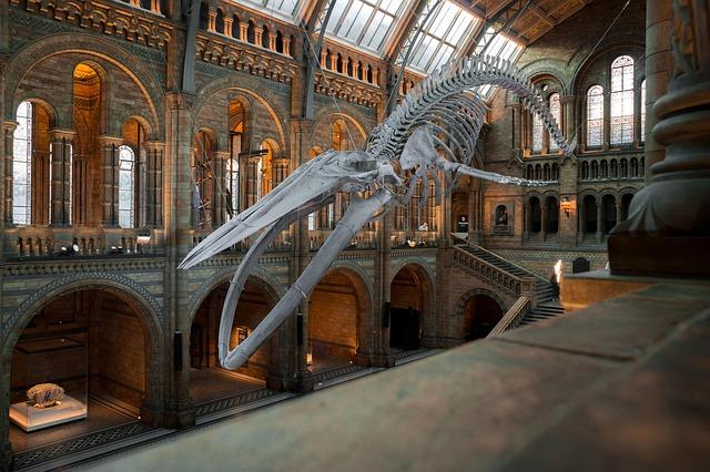 The world’s biggest museum for illustrations is coming to London – and the official opening date has been revealed – Time Out Worldwide