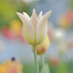 Rising costs and rain hold down hospitality spending in April – London Business News