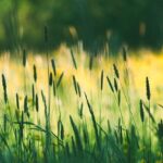 Execution Edge joins energy and London business communities – Consultancy.uk
