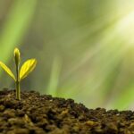 London Business School and Emeritus launch Chief Investment Officer Programme – The European Magazine