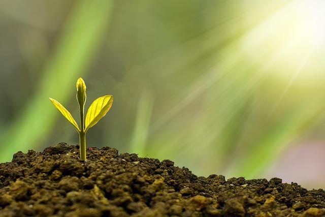 London Business School and Emeritus launch Chief Investment Officer Programme – The European Magazine