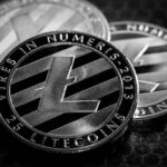 Why Litecoin remains a practical choice for business payments – London Business News